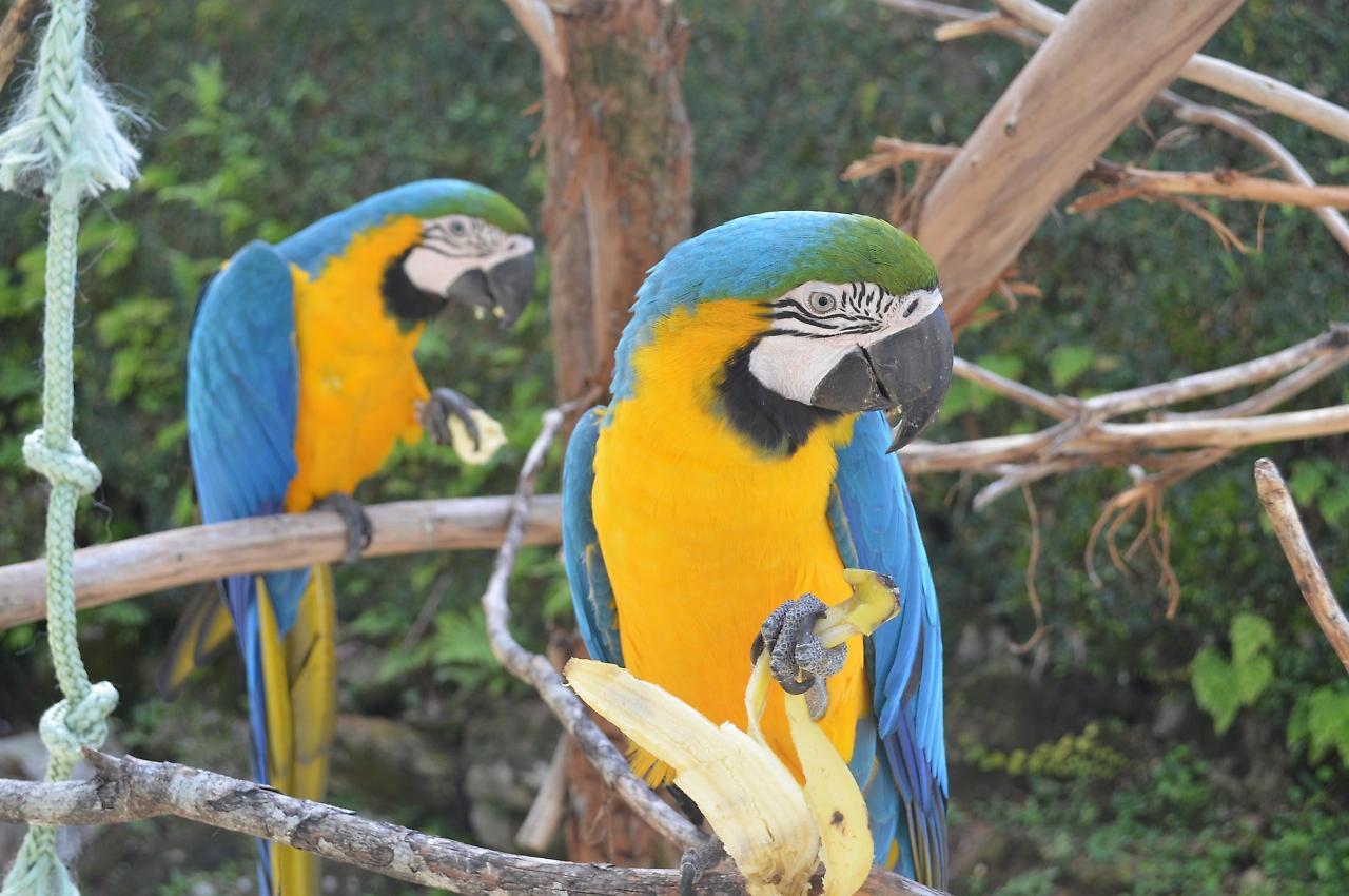 Pousada Tere Parque Teresópolis Dış mekan fotoğraf